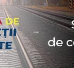 PHOTO-2021-02-02-05-43-38