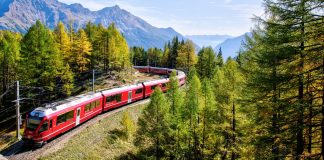 CFR CALATORI VREA SA CUMPERE 30 DE TRENURI NOI – Compania nu mai asteapta licitatiile ARF si imprumuta bani de la BERD