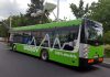 TRANSPORTUL IN COMUN IN BRASOV ESTE “ELECTRIC” – Cele 60 de autobuze electrice au ajuns la 2 milioane de km parcursi