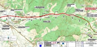 CNAIR REIA LICITATIA PENTRU AUTOSTRADA LUGOJ-DEVA – ”Tunelurile pentru ursi” vor avea peste 2 kilometri