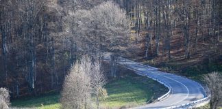 DRUMUL JUDETEAN 764 INTRE ASTILEU SI ROSIA A FOST REABILITAT – Lucrarile au costat 118 milioane lei