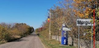 DRUMURI NOI IN JUDETUL BOTOSANI PRIN PROGRAMUL ANGHEL SALIGNY – 40 de kilometri de drumuri judetene de piatra vor fi reabilitate