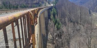 VIADUCTUL GRAMATICU, DE PE DN10, VA FI REABILITAT – DRDP scoate la licitatie proiectul de 12,9 milioane lei cu TVA