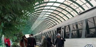 PROIECTUL TRENULUI METROPOLITAN BUCURESTI-ILFOV – Trenul va opri noaptea si in gara Parc Mogosoaia, din 1 septembrie. De anul viitor apar trei noi linii de tren metropolitan