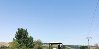 REABILITARE DE 20 MILIOANE LEI – S-a turnat primul strat de asfalt pe drumul judetean dintre Balc si limita cu judetul Salaj. Reabilitarea drumului costa peste 20 milioane lei si a ajuns la 70%