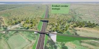 DRUM CRAIOVA-TARGU JIU – Termenul limita pentru depunerea ofertelor privind contractul pentru constructia Lotului 6 este 18 noiembrie