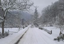 DRUMUL REGELUI SE VA FINALIZA IN 2026 – Planul pentru infrastructura din judetul Arad