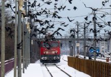 REABILITAREA LINIEI FEROVIARE CRAIOVA – DROBETA-TURNU SEVERIN – CARANSEBES – Contractul pentru servicii topo-cadastrale a fost atribuit